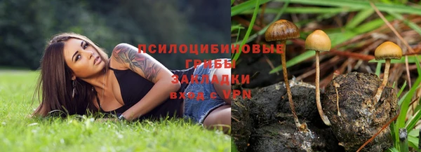 гидропоника Бронницы