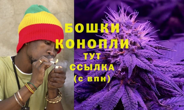соль ск Снежинск